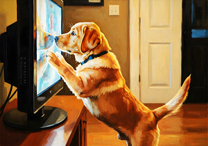 Labrador Puppy Discovers The Magic Television Screen