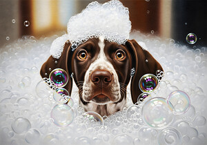 German Shorthaired Pointer Puppy Shakes Off The Bubbles by Puppy Prints