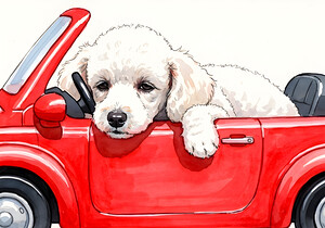 Sleepy Poodle Puppy Rests After Exciting Car Adventure by Puppy Prints
