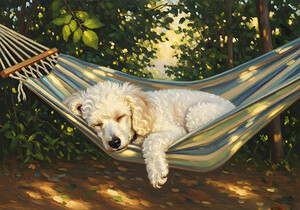 Poodle Puppy Naps In Hammock by Puppy Prints