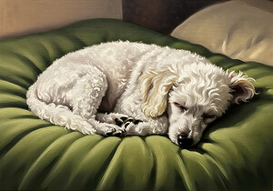 Poodle Puppy Dreams On Green Padded Bed by Puppy Prints