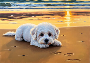Content Bichon Frise Puppy Rests On Beach