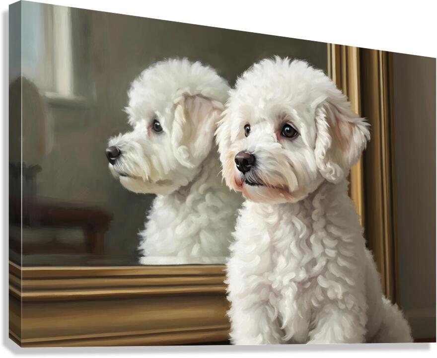 White Bichon Frise Puppy Contemplates Its Reflection Canvas Print