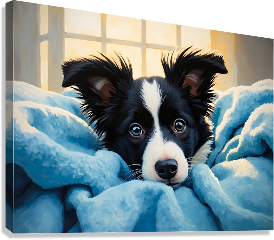 Border Collie Puppy Discovers Cozy Blanket Fort Canvas Print