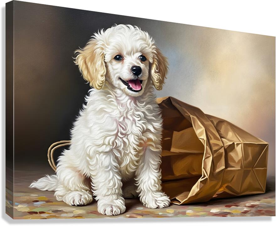 Triumphant Poodle Puppy Completes Paper Bag Adventure Canvas Print