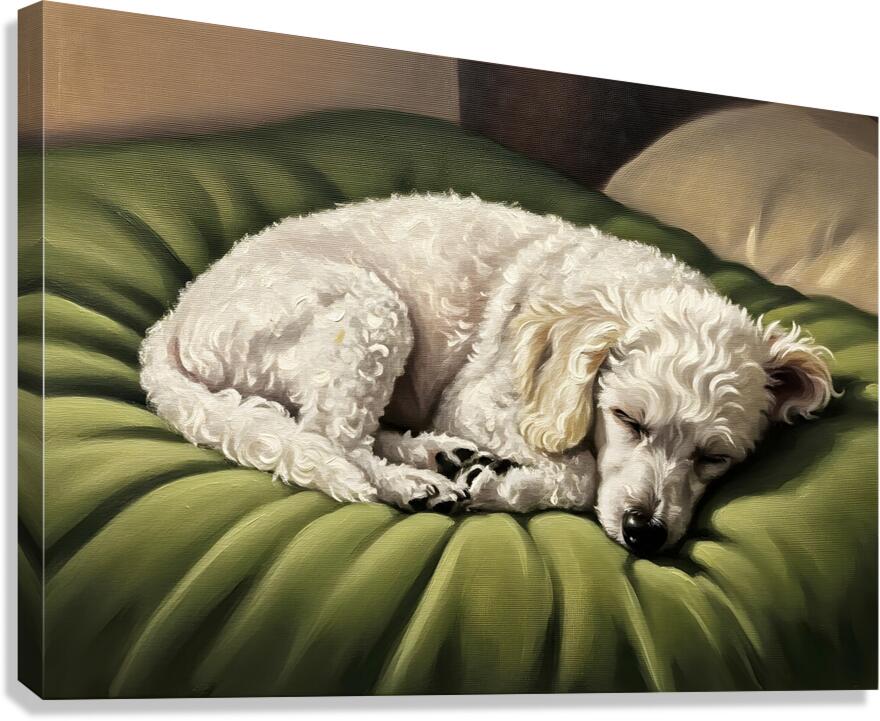 Poodle Puppy Dreams On Green Padded Bed Canvas Print