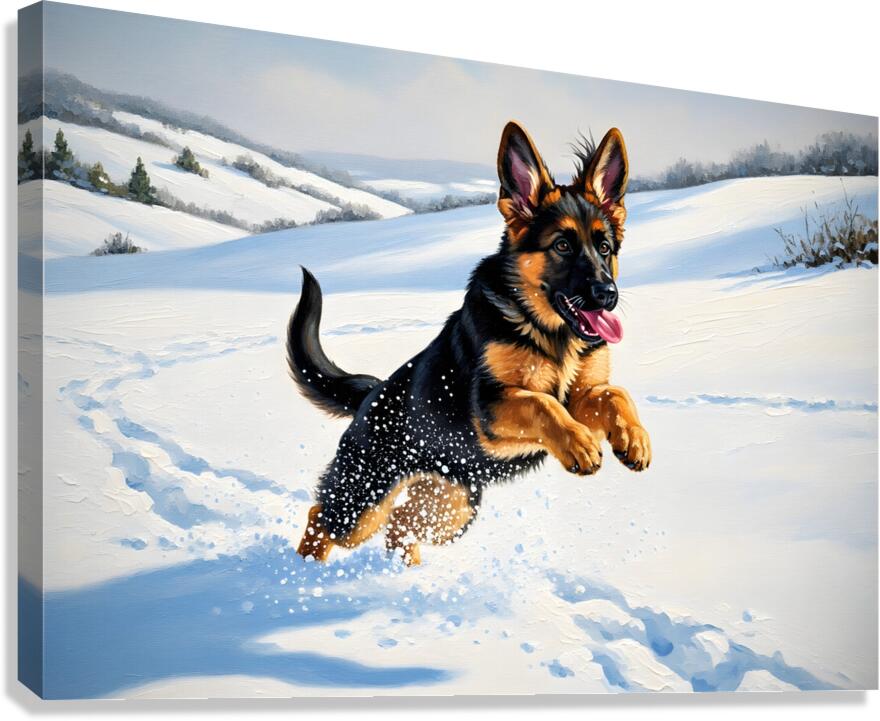 Happy German Shepherd Puppy Rests In Snow Canvas Print