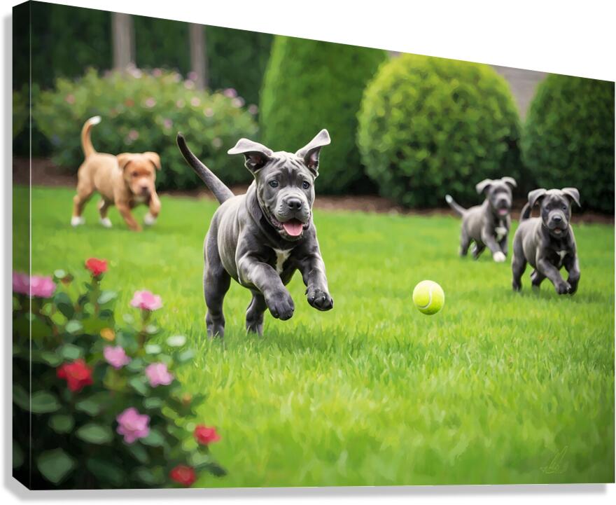 Cane Corso Puppy Spots The Perfect Tennis Ball Canvas Print