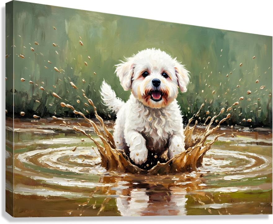 Muddy Bichon Frise Puppy After Puddle Adventure Canvas Print