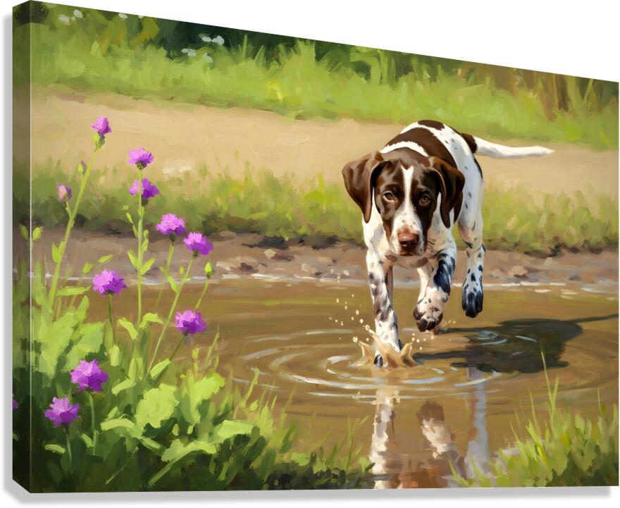 German Shorthaired Pointer Puppy Discovers Muddy Puddle Canvas Print