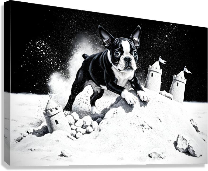Boston Terrier Puppy Happy Despite Sandy Mess Canvas Print
