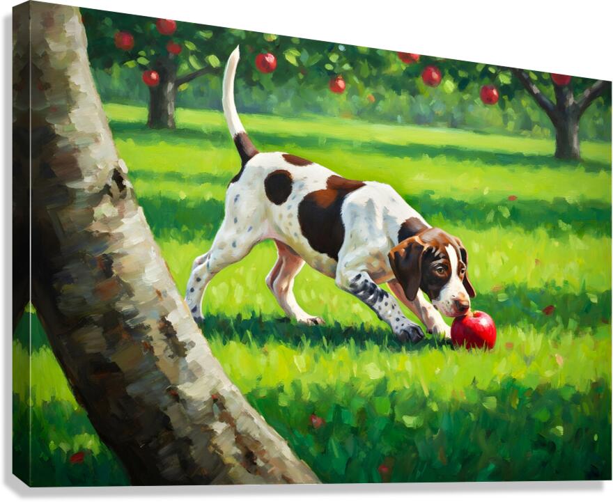 German Shorthaired Pointer Puppy Discovers Apple Orchard Canvas Print