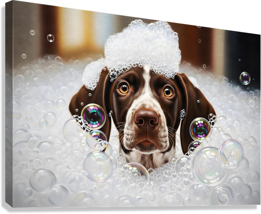 German Shorthaired Pointer Puppy Shakes Off The Bubbles Canvas Print