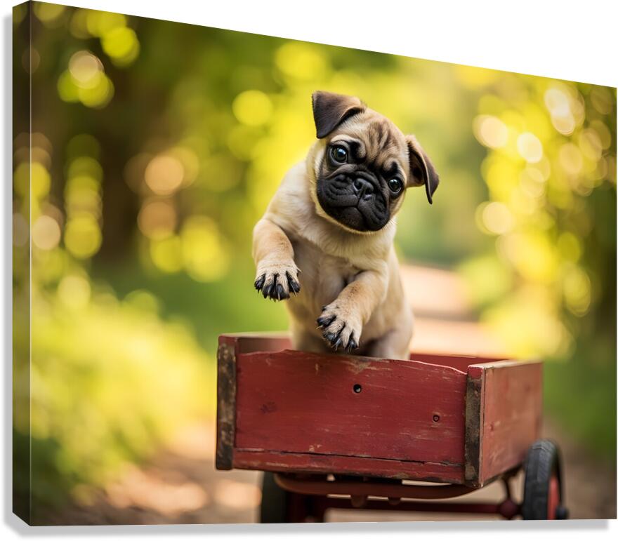 Pug Puppys First Wagon Ride Adventure Canvas Print