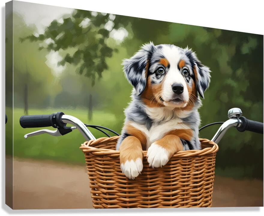 Happy Australian Shepherd Puppy Enjoys Bicycle Ride Canvas Print