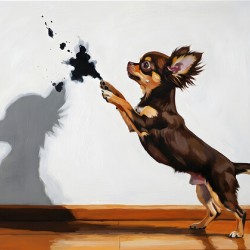 Confused Chihuahua Puppy After Shadow Chase