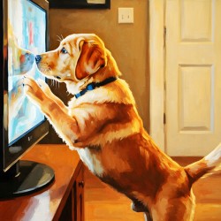 Labrador Puppy Discovers The Magic Television Screen