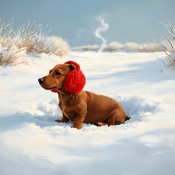 Dachshund Puppy Heads Home After Snowy Day Adventure