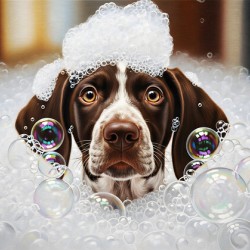 German Shorthaired Pointer Puppy Shakes Off The Bubbles