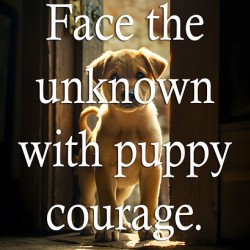 Face Unknown with Puppy Courage
