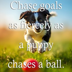 Chase Goals Like This Determined Puppy