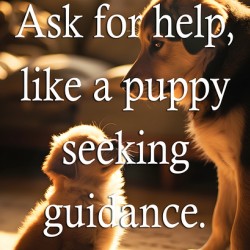 Ask for Help Like Puppies Do