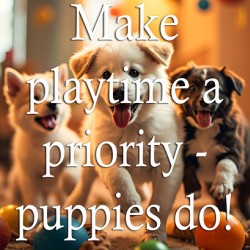 Prioritize Play Like These Happy Puppies