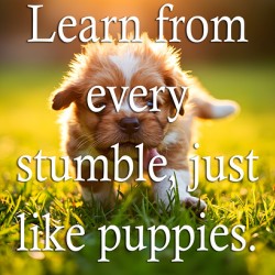 Learn from Stumbles Like Puppies