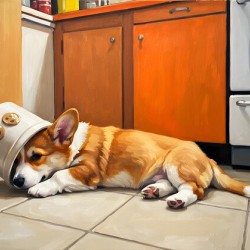 Free Corgi Puppy Celebrates His Escape