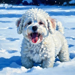 Happy Bichon Frise Puppy Rests After Snow Play