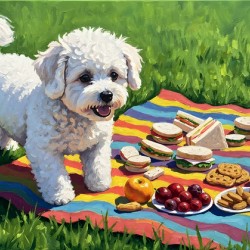 Bichon Frise Puppy Discovers Picnic Spread