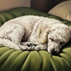 Poodle Puppy Dreams On Green Padded Bed