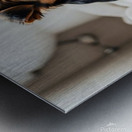 Brown Yorkshire Terrier Puppy With Unrolled Toilet Paper Trail Mess Metal print