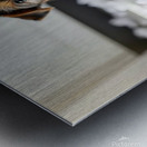 Guilty Yorkshire Terrier Puppy Surrounded By Shredded Tissue Metal print