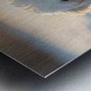 Content White Bichon Frise Puppy Resting After Snow Play Session Metal print