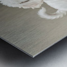 Playful White Bichon Frise Puppy Invites Mirror Reflection To Play Metal print