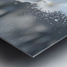 White Bichon Frise Puppy Discovers Fresh Snow In Winter Yard Metal print