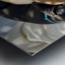 Sleepy Brown Dachshund Puppy Cuddling With Tired Siblings Metal print