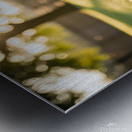 Brown Dachshund Puppy Waking Up In Sunny Garden Metal print