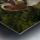 Beagle Puppy Enjoys Victory After Tug-Of-War Fun Metal print