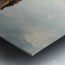 German Shepherd Puppy Discovers Butterfly In Meadow Metal print