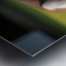 Beagle Puppy Peacefully Sleeping In Sunny Garden Metal print