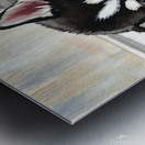 Sleepy Siberian Husky Puppy Napping In Sunbeam Metal print