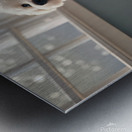 Hopeful Bichon Frise Puppy Waiting For Treats Metal print