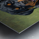 Exhausted Rottweiler Puppy Rests After Fun Playtime Metal print