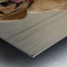 Satisfied Golden Retriever Puppy After Finishing Meal Metal print