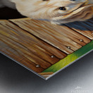 Golden Retriever Puppy Enters Crowded Doghouse Metal print