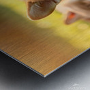 Tired Pembroke Welsh Corgi Puppy Resting After Playing With Siblings Metal print