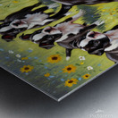 Boston Terrier Puppy Plays Near Beautiful Sunflower Metal print