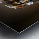 German Shepherd Puppy Sits Among Paper Destruction Metal print